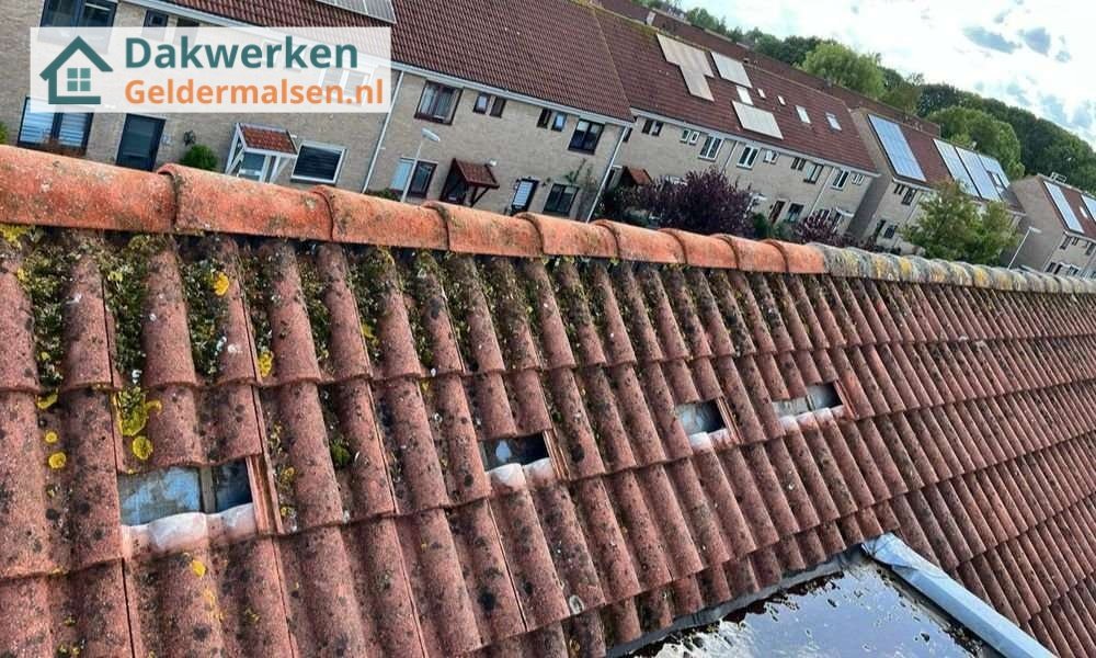Een dakrenovatie bij oud pannendak Een dakrenovatie bij oud pannendak in Geldermalsen